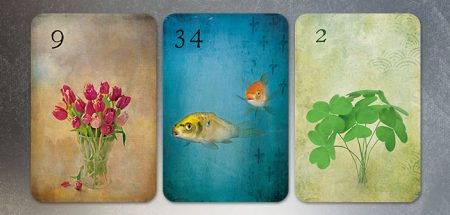 Kombi Blumen Fische Klee