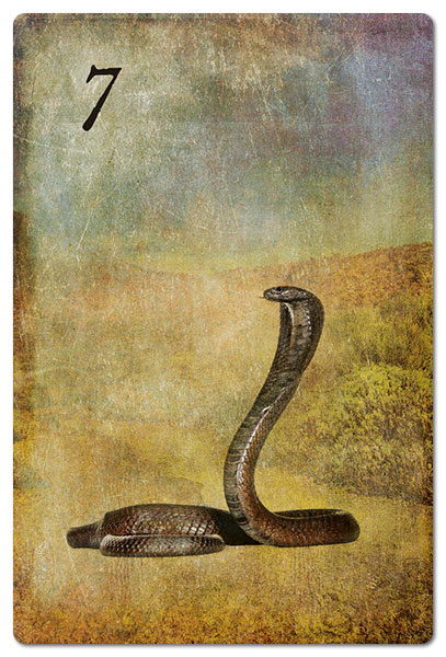 Карта змеи таро. Карта змея Ленорман. Карта Таро змея. Золотой Венецианский Ленорман галерея. Змея Ленорман Ленорман.
