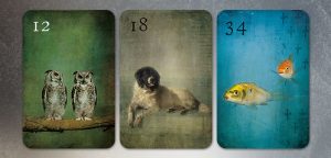 Die Dreier Kombination der Karten Eulen, Hund und Fische Lenormand Kombination Eulen Hund Fische