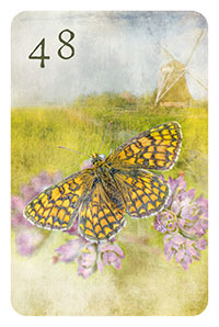 48 - der Schmetterling