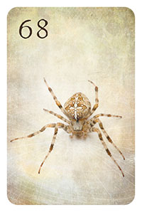 68 - die Spinne